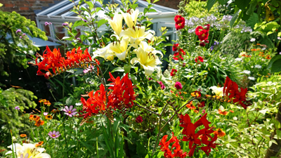 A picture of the garden of the Most Colourful Garden category winner